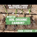 Soil Organic Carbon – Agriculture Dictionary