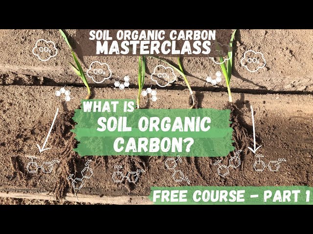 Soil Organic Carbon – Agriculture Dictionary