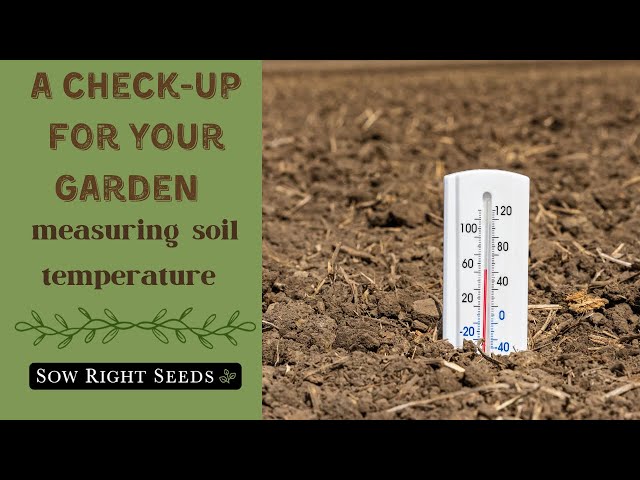 Soil Temperature – Agriculture Dictionary