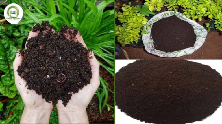 Vermicompost – Agriculture Dictionary