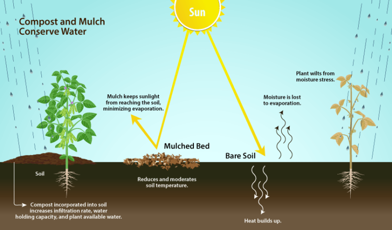 Water Conservation – Agriculture Dictionary