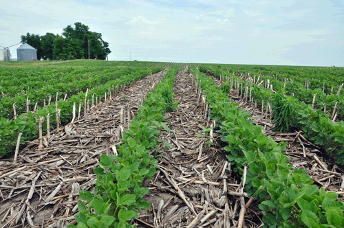 Who Owns America’s Farmland? And What Is Their Role In The Response To Climate Change?