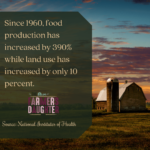 Food Production Since 1960