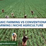 Conventional Farming – Agriculture Dictionary