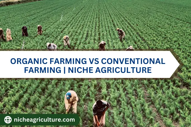 Conventional Farming – Agriculture Dictionary