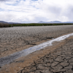 How can it save the world from increasing droughts? 