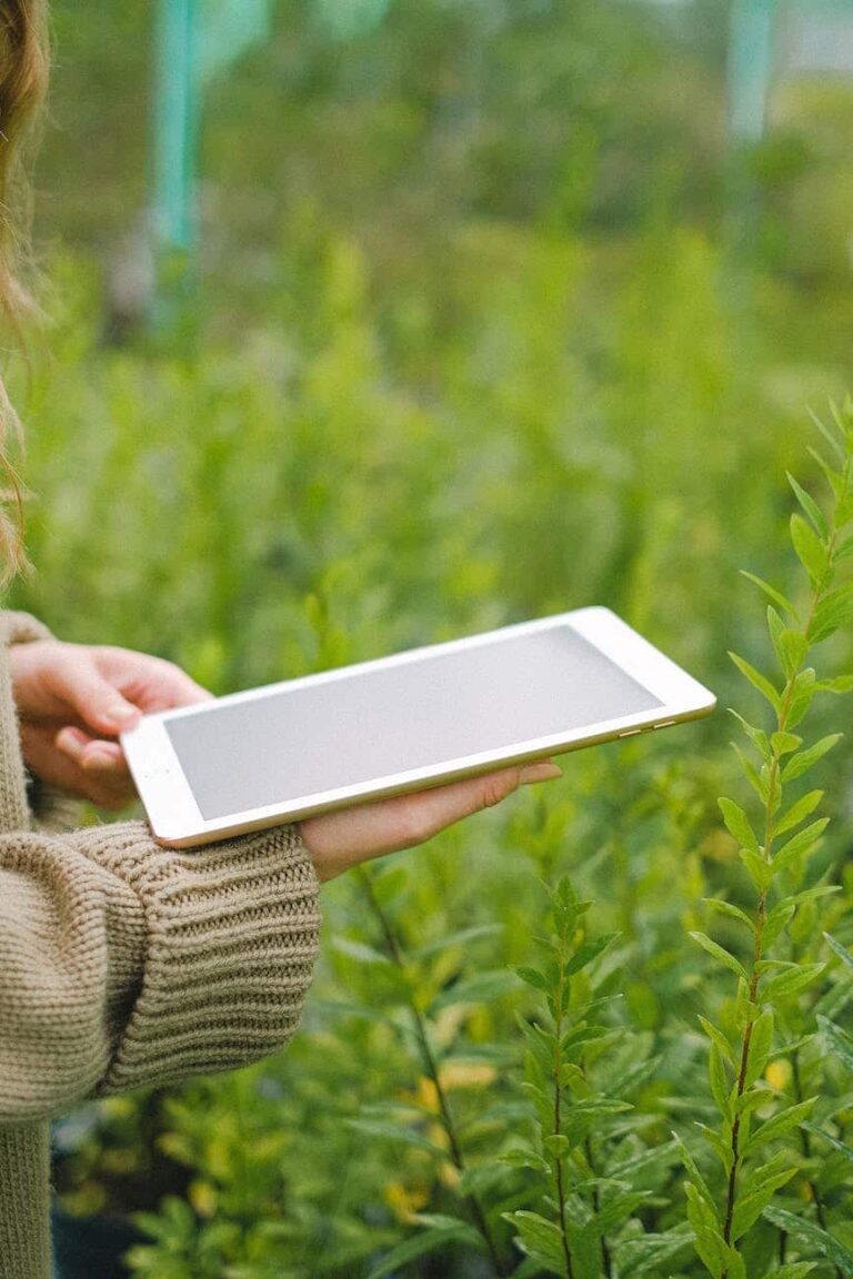 Future of Digital Agriculture in Pakistan