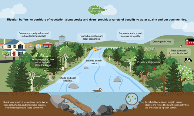 Riparian Buffers – Agriculture Dictionary