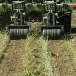 Strip-Till – Agriculture Dictionary