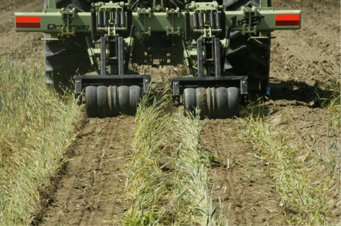 Strip-Till – Agriculture Dictionary