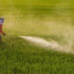 Pesticide – Agriculture Dictionary