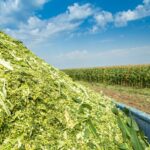 Silage Production – Agriculture Dictionary