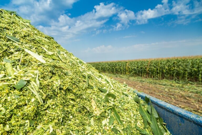 Silage Production – Agriculture Dictionary