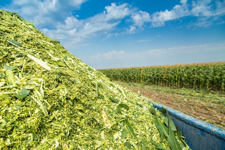 Silage Production – Agriculture Dictionary