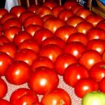 Hickery Holler Farm: Tomato Products