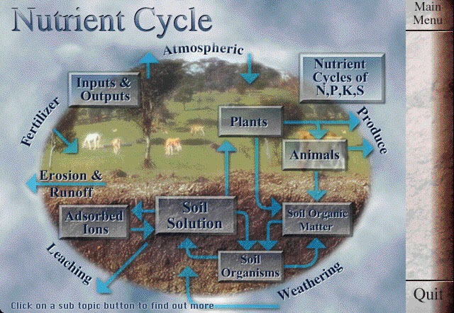 Nutrient Cycling – Agriculture Dictionary