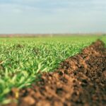 Soil – Agriculture Dictionary