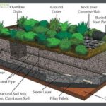 Soil Drainage – Agriculture Dictionary