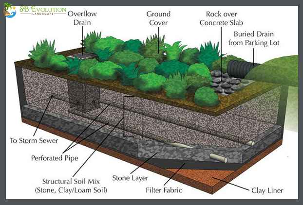 Soil Drainage – Agriculture Dictionary