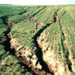 Soil Erosion – Agriculture Dictionary