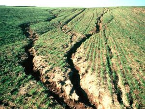 Soil Erosion – Agriculture Dictionary