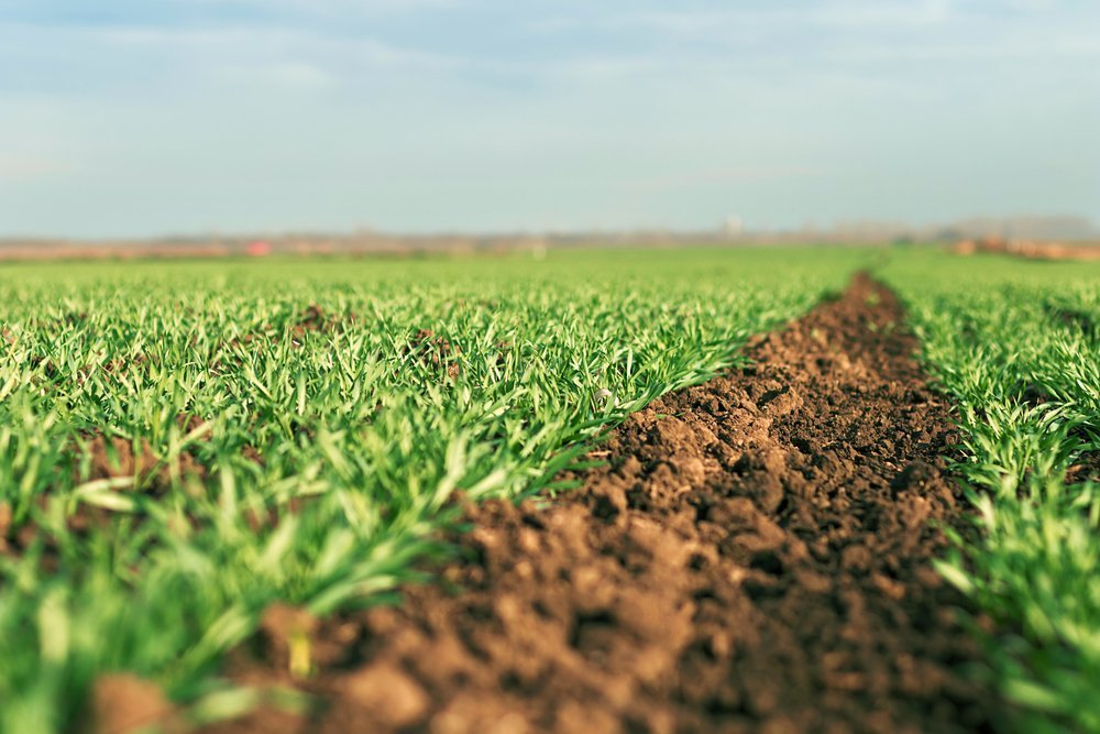 Soil – Agriculture Dictionary