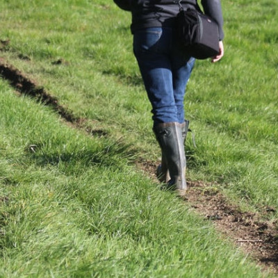 best budget wellies