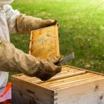 Hive Tool – Agriculture Dictionary