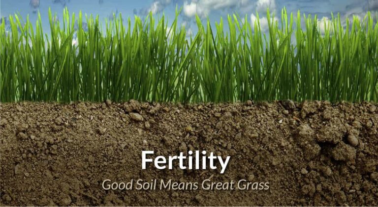 Soil Fertility – Agriculture Dictionary