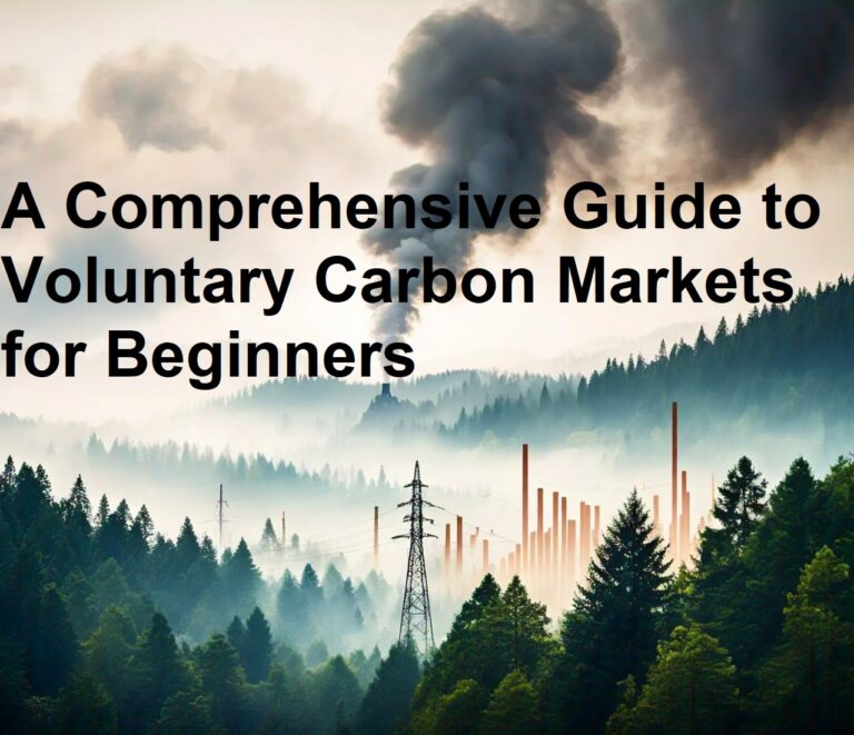 Understanding Voluntary Carbon Markets for Pakistan and Global South