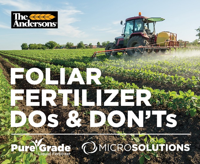 Foliar Fertilizer – Agriculture Dictionary