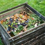 Compost – Agriculture Dictionary