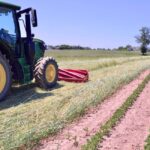 Cover cropping poses unique challenges to organic farmers