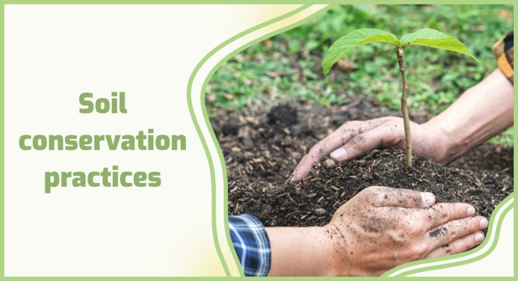 Soil Conservation – Agriculture Dictionary