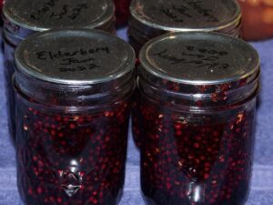 Hickery Holler Farm: Canning Elderberry Jam