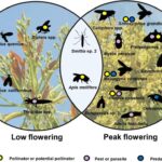 eDNA Metabarcoding for Farmers and the Environment