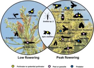 eDNA Metabarcoding for Farmers and the Environment