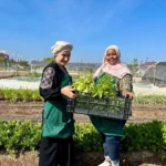 Spotlight On an Urban Farm Helping Refugees and Immigrants Build Community