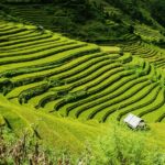 Terracing – Agriculture Dictionary