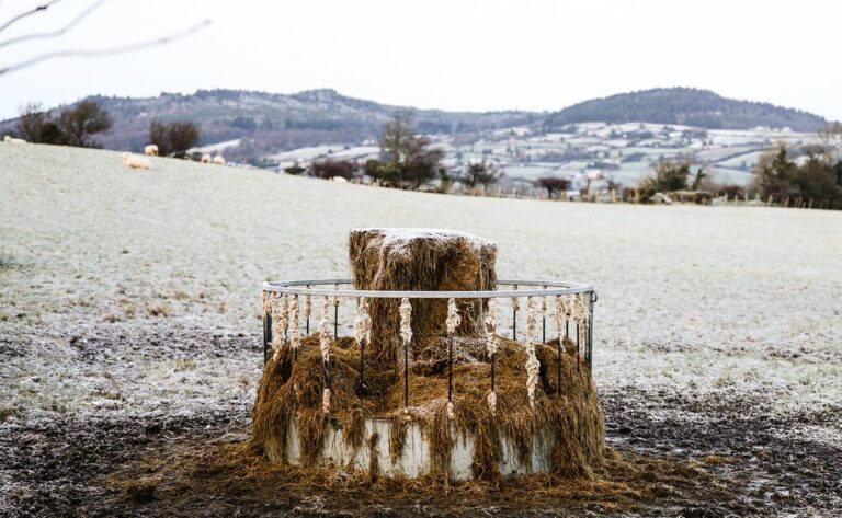 The Big Freeze