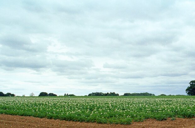 Guidance now available for upcoming funding competitions  – Farming