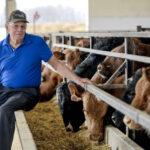 Walkerton: A lesson in crisis management