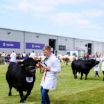 Greenhill Farm: The Balmoral Show 2025