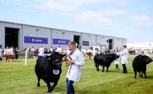 Greenhill Farm: The Balmoral Show 2025