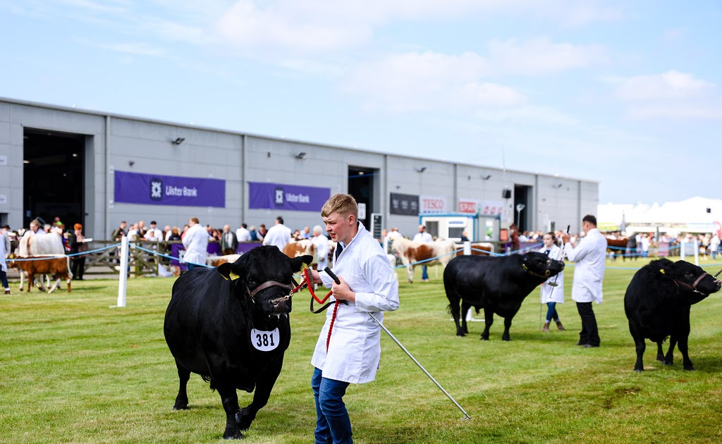 Greenhill Farm: The Balmoral Show 2025