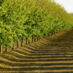 Nationwide Farm Bureau Ag Innovation Challenge