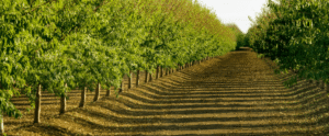 Nationwide Farm Bureau Ag Innovation Challenge