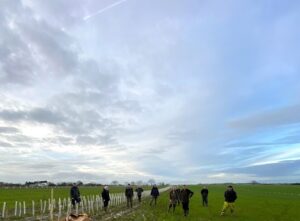 31) farmingGeorge’s Fobbing Farm Update: Dairying