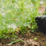 Now until May 10th: Weed Killer Discount at all FGS Supply Centers