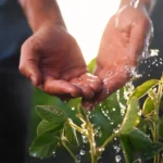How to Conserve Water on Small-Scale Farms: 7 Tips for Success
